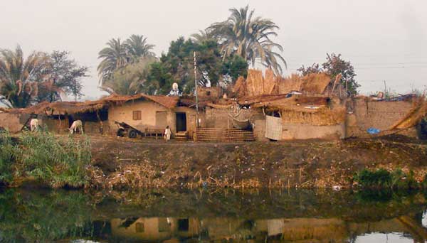 Modern Farmstead near Abydos