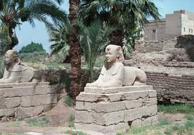 Luxor Temple. Sphinxes