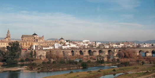 The Roman Bridge at Cordoba