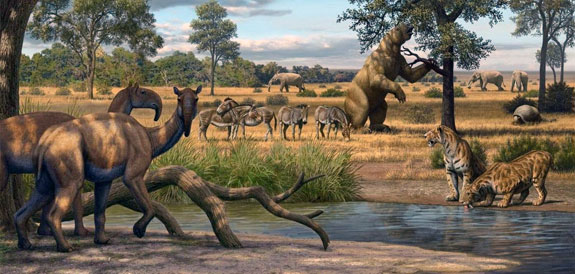 Miocene African Fauna. © Mauricio Anton