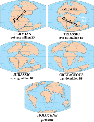 Break up of Pangea