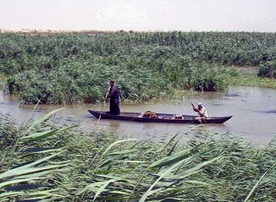 The Marshes of Southern Iraq (US Army photo)