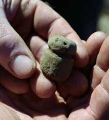 Brodgar Boy