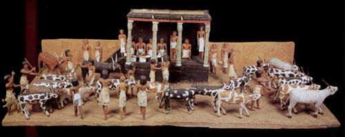 Model of a cattle inspection