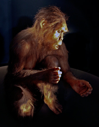 Homo habilis reconstruction