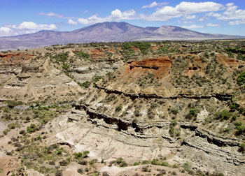 Olduvai Gorge: Stratigraphy