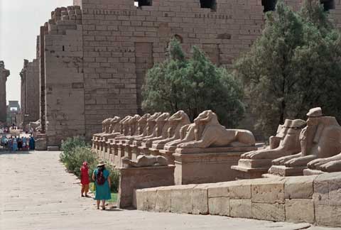 Karnak Temple. The Avenue of Sphinxes