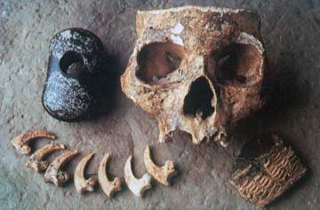 Human Remains & Small Finds from the Tomb of the Eagles