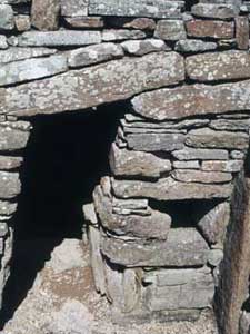 Gurness. Guard Cell