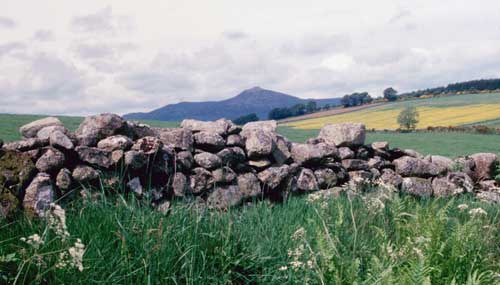 View of Bennachie from Easter Acquhorthies