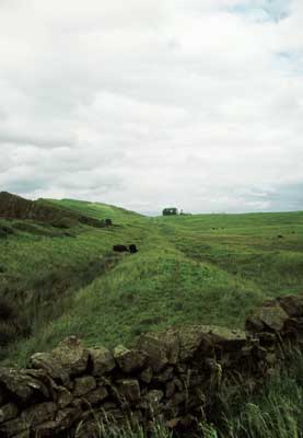 The Vallum