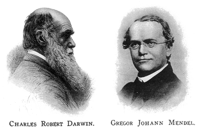 Darwin & Mendel