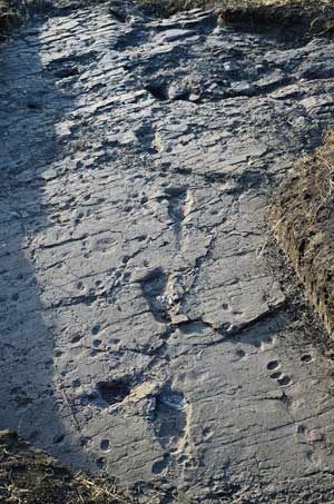 Laetoli Footprints