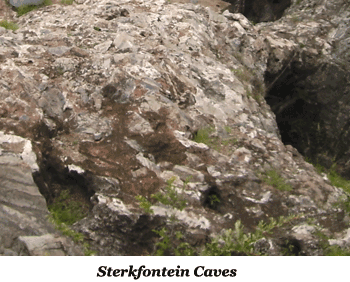 Sterkfontein Caves