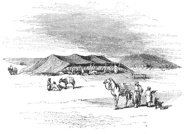 Bedouin Encampment