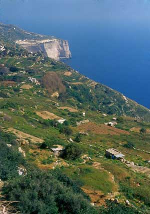 Cliffs along the south coast of Malta