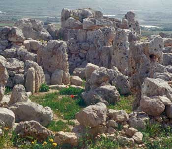 Upper Coralline Blocks at Ta Hagrat