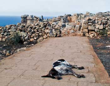 Approach to Mnajdra