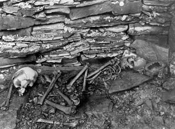 Midhowe.Skeletons lying on a Bench in Compartment 9