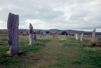 The north avenue at Callanish I