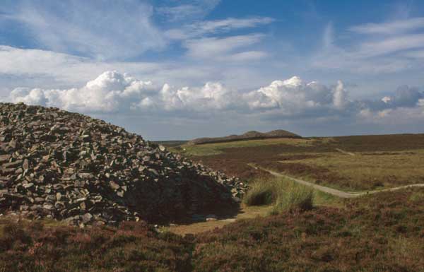 The Grey Cairns of Camster